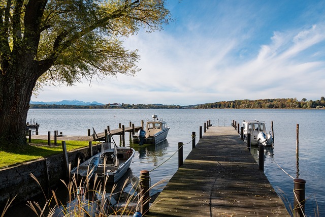 习并适应英 习并适应英
