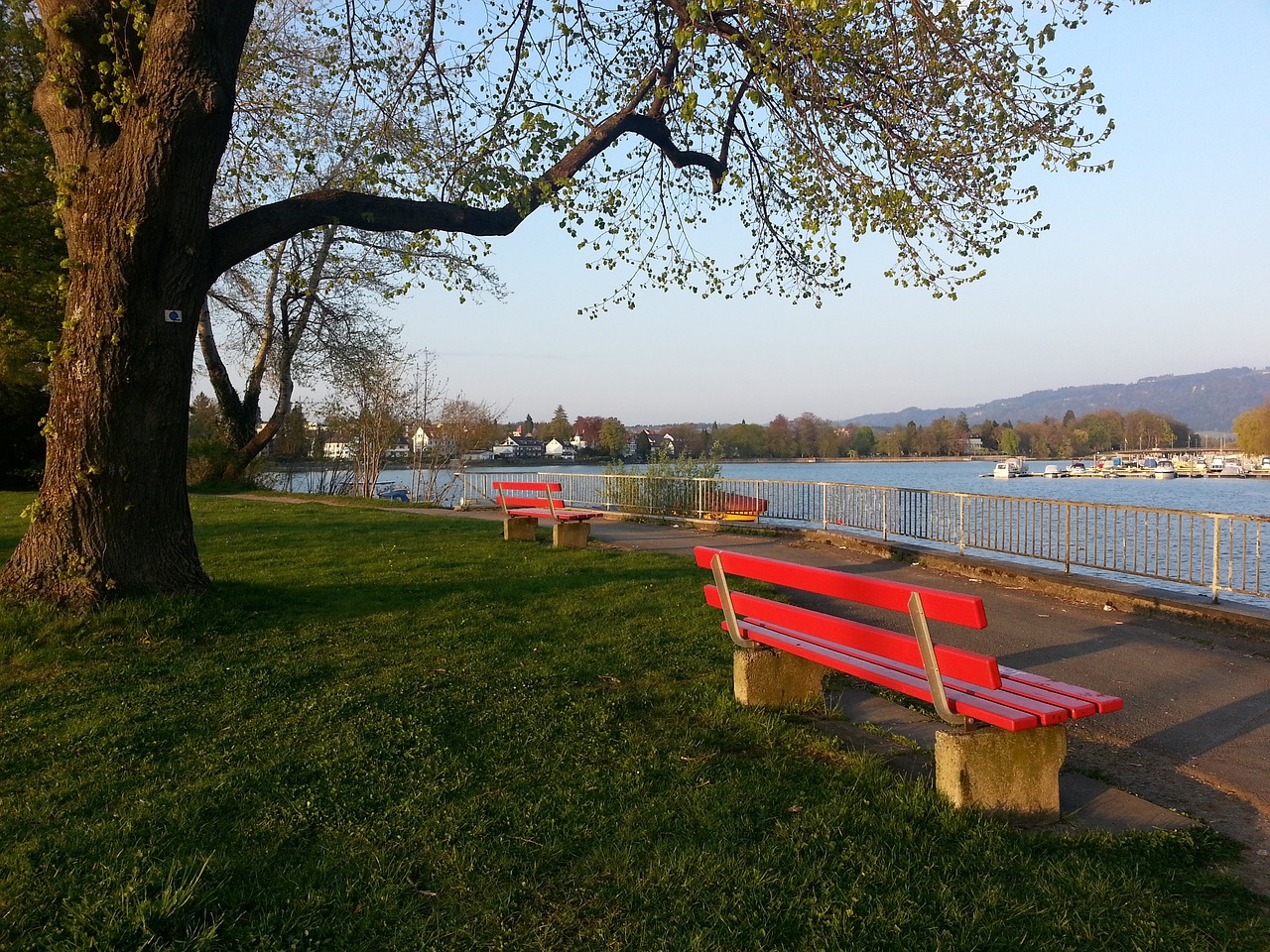 轻天才的不 轻天才的不