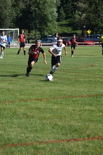 未来的希望 未来的希望