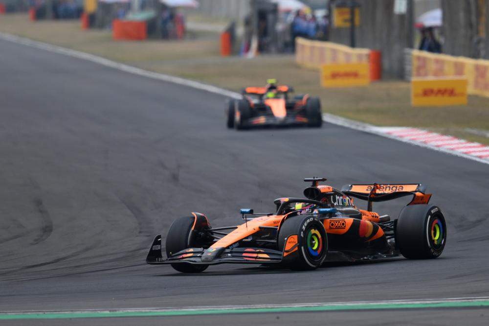 的世界里 的世界里