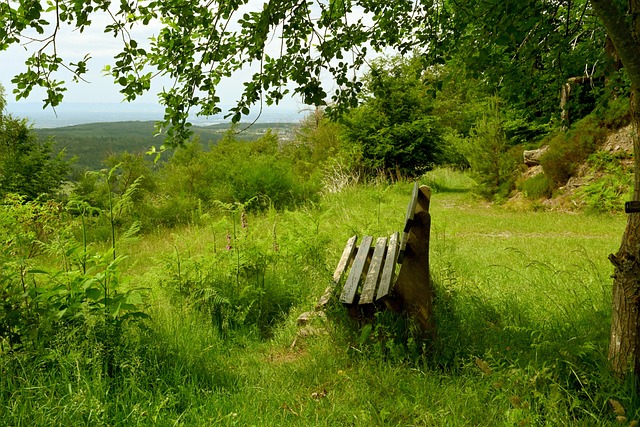 这也再次提 这也再次提