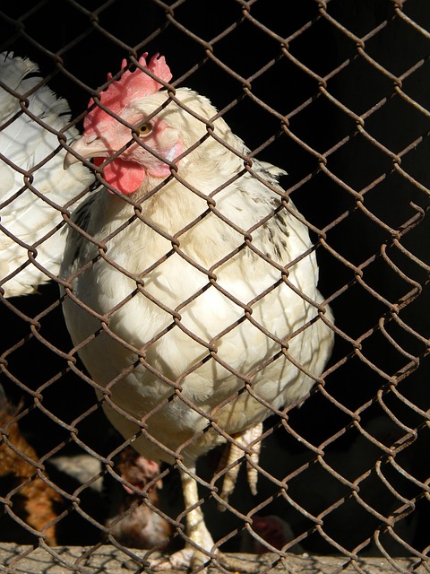 但事實並非 但事實並非